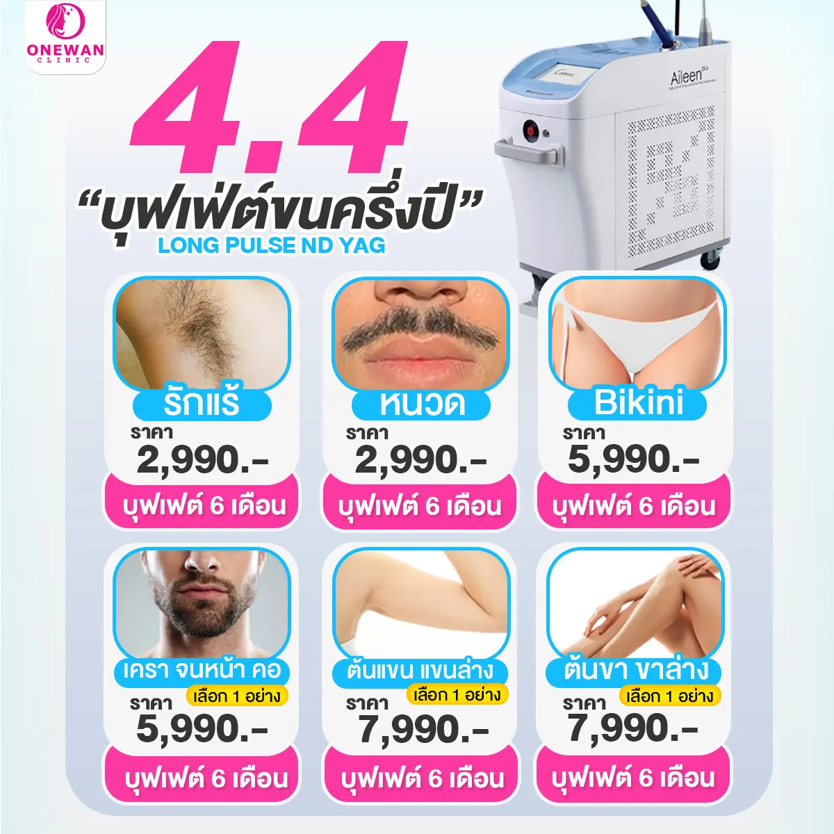 Promotion 4.4 Long pulse ND Yag laser