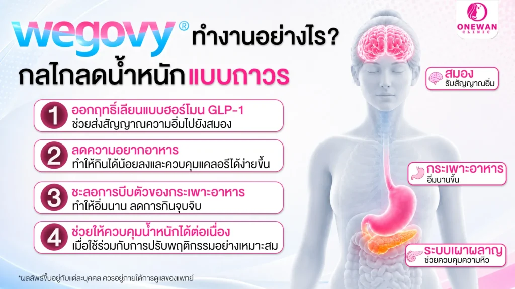 Wegovy ทำงานอย่างไร ?