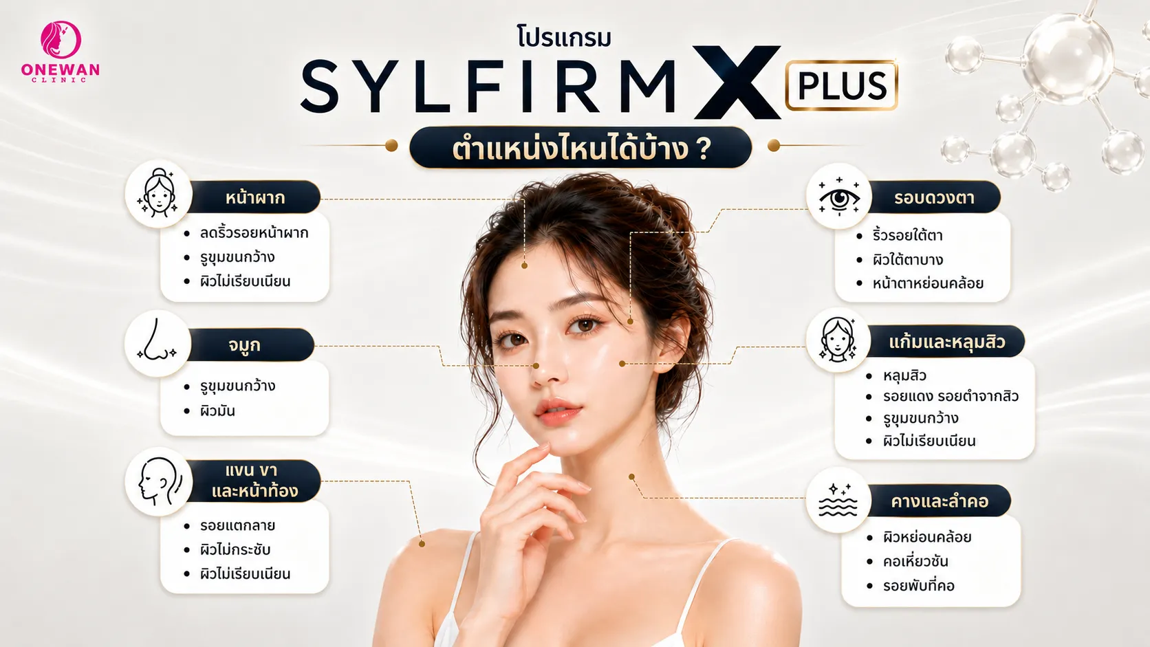 Sylfirm ทำตำแหน่งไหนได้บ้าง